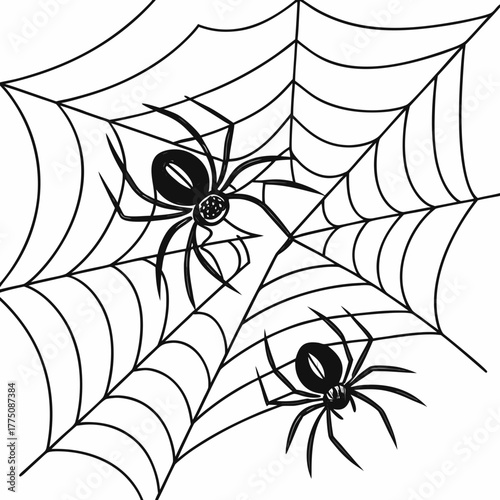 Two spiders on a spiderweb, a spooky halloween decoration concept