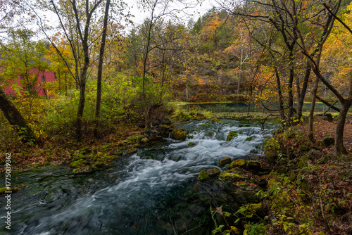 Autumn's Rushing Spring