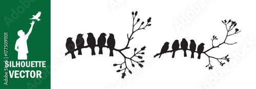 Birds on Winding Bare Branches Silhouette Set