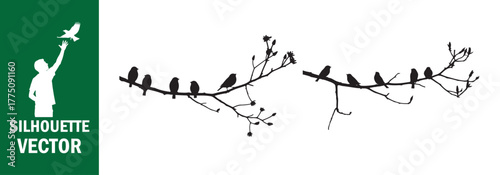 Birds on Bare Tree Branches Silhouette Designs