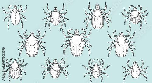 Outline drawings of various types of ticks on a light blue background.