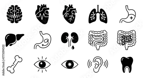 Black and white icons of human organs, including brain, heart, lungs, and stomach.