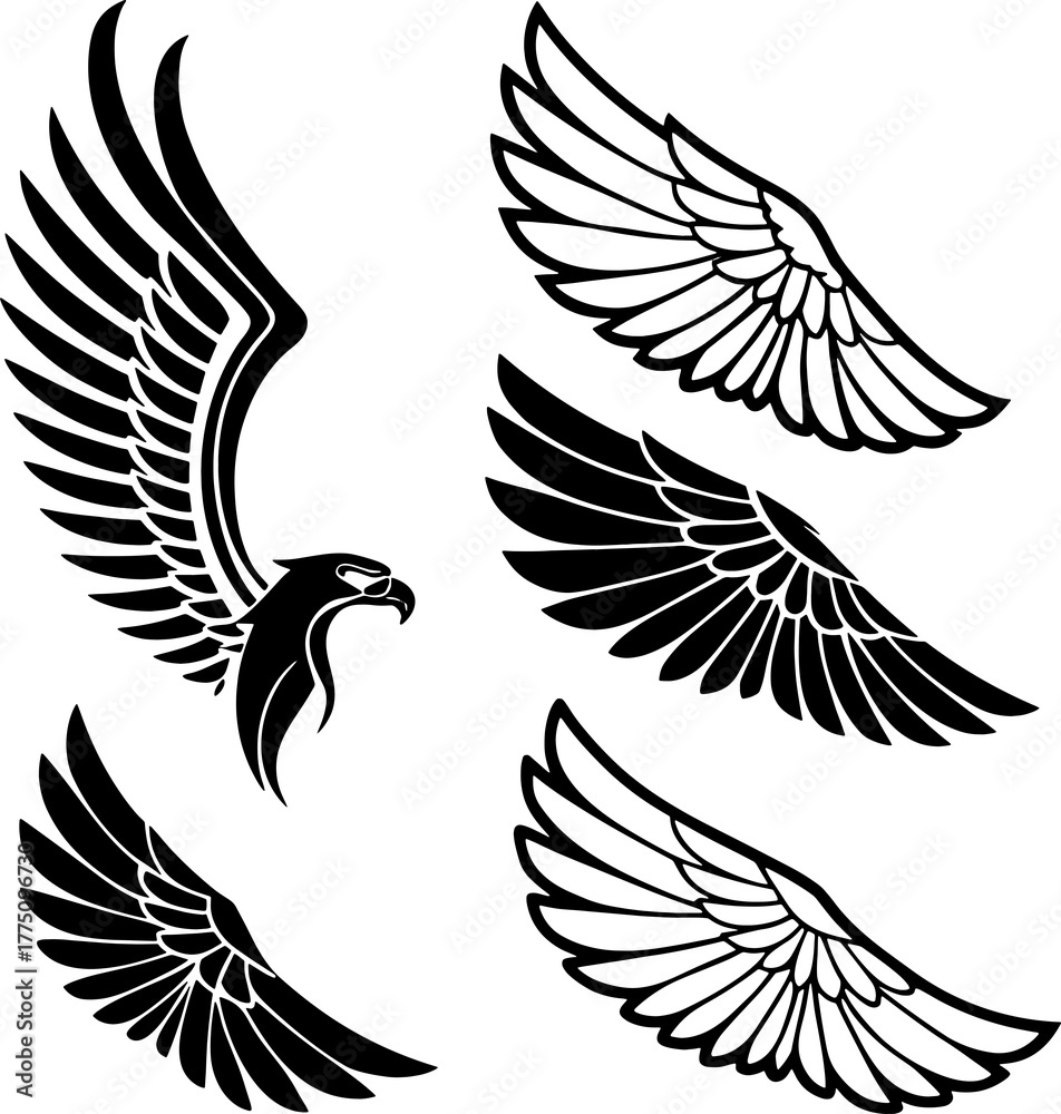 Obraz premium set of vector birds