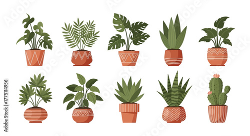 set of flowers in pots