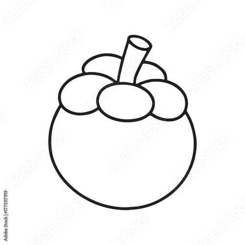 Simple Line Art Mangosteen Tropical Fruit Vector Illustration