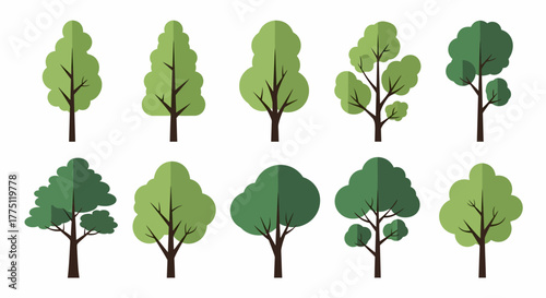 Vector Illustration of Cartoon Green Trees for Summer Designs