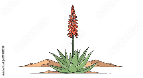 Stylized aloe vera plant with striking red flowers in a minimalistic desert landscape