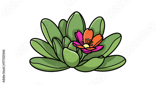 Illustration of a blossoming succulent plant with vibrant pink and orange petals viewed from above