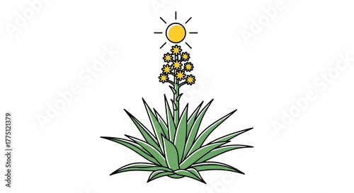 Illustration of a blossoming agave plant under the sun isolated on a white background