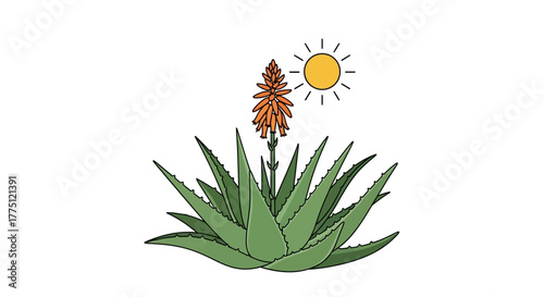 Aloe vera plant with vibrant orange flower and the bright sun shining, a simple cartoon illustration