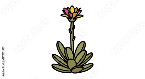 Whimsical flower illustration with a spiky succulent base and vibrant blossom design element