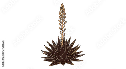 Stylized agave plant in bloom with a beige flower spike on a white background