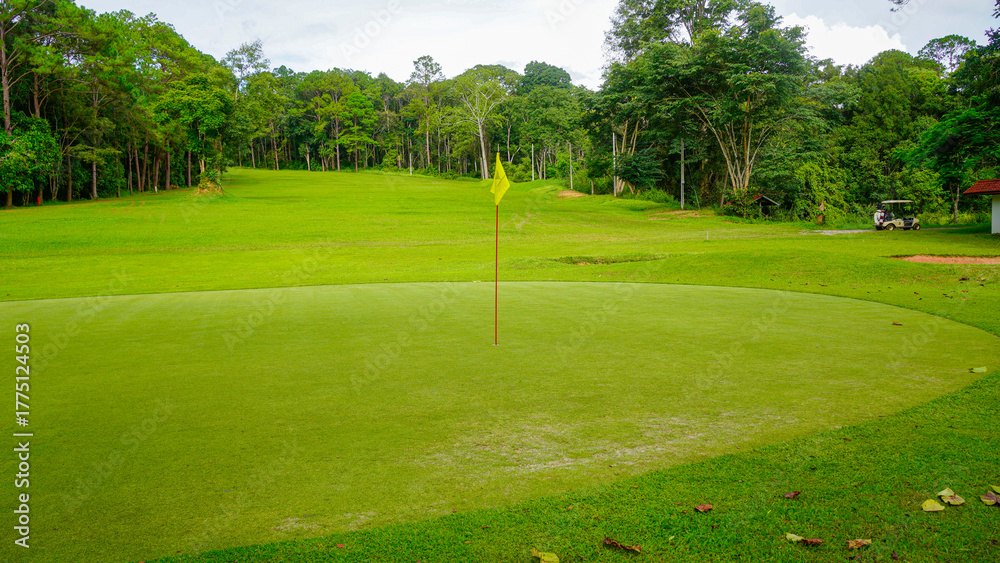 Fototapeta premium Green grass and woods on a golf field. View of Golf Course with beautiful putting green.