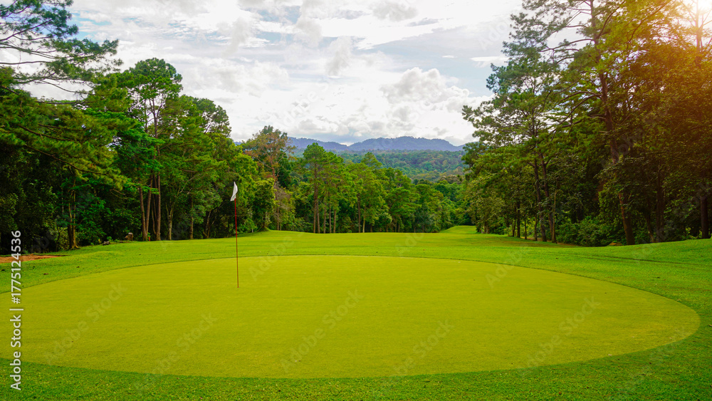 Fototapeta premium Green grass and woods on a golf field. View of Golf Course with beautiful putting green.