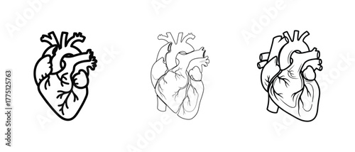 Three anatomical heart illustrations in black and white line art on a white background surface