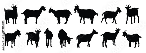 goat and goat kid silhouette set. goat and goat kid isolated farm animal silhouette icon vector collection