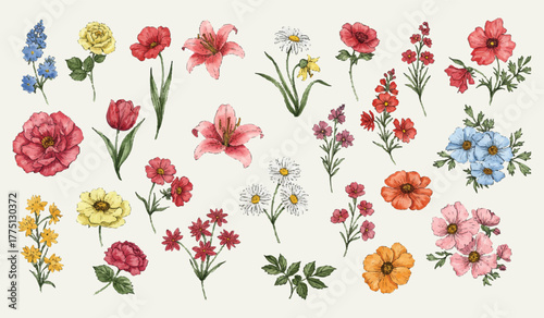 Vibrant Watercolor Collection of Diverse Floral Blooms, Featuring Roses, Tulips, Lilies, Daisies, and Calla Lilies, Perfect for Artistic Designs and Botanical Illustrations