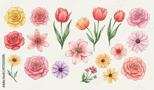 Watercolor floral arrangements featuring roses, lilies, tulips, daisies, and other blossoms, perfect for spring designs