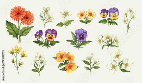 Watercolor floral illustrations set. Hand-painted garden blossoms vibrant pansies, cheerful gerberas, delicate white flowers. Ideal for spring, summer, botanical design, and elegant invitations.