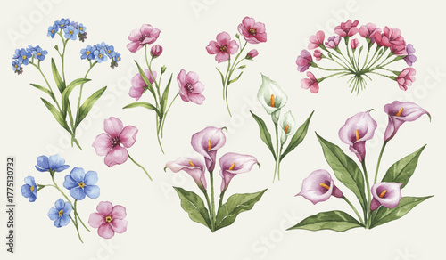 Watercolor Floral Collection Elegant Pink Calla Lilies and Delicate Forget-Me-Nots for Botanical Designs