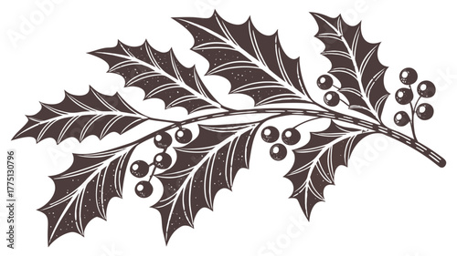 Grunge Style Holly and Berries Sprig Christmas Element,  Vector illustration of a holly sprig with berries, rendered in a grunge or distressed style with dark tones and a textured appearance, suitable