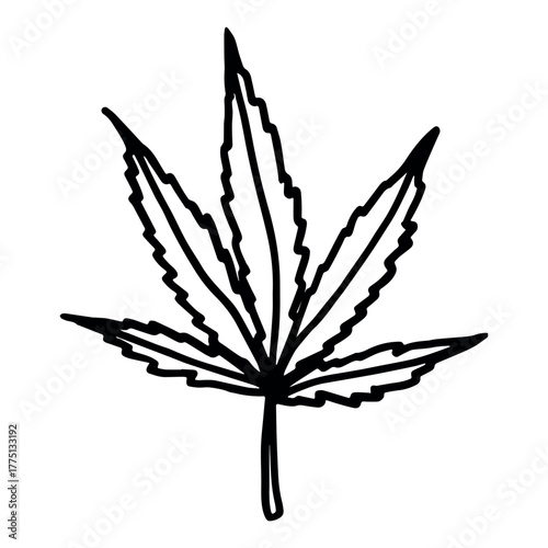 Hand drawn cannabis leaf Medicine marijuana Hemp leaves clipart in doodle style Single element for print, web, design, decor