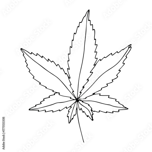 Hand drawn cannabis leaf Medicine marijuana Hemp leaves clipart in doodle style Single element for print, web, design, decor