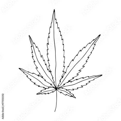 Hand drawn cannabis leaf Medicine marijuana Hemp leaves clipart in doodle style Single element for print, web, design, decor
