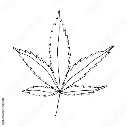 Hand drawn cannabis leaf Medicine marijuana Hemp leaves clipart in doodle style Single element for print, web, design, decor