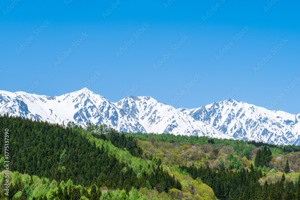 Fototapeta premium 残雪の白馬三山