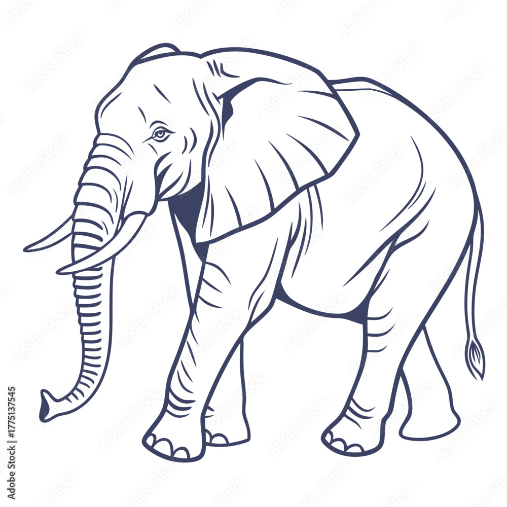 Obraz premium elephant vector illustration