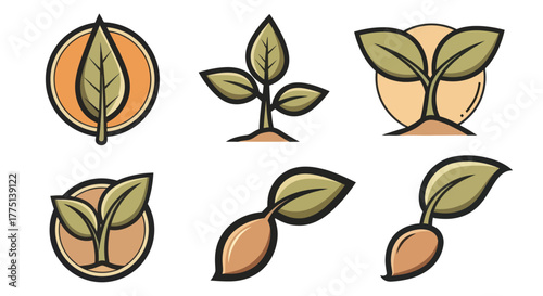 Six stylized plant growth illustrations. Each image shows a sprout with leaves and seed details