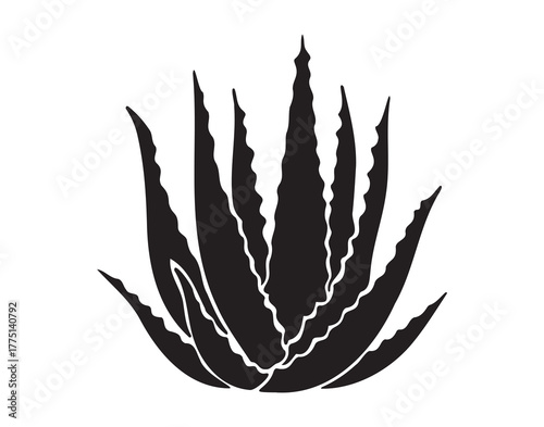 Aloe vera plant silhouette icon doodle hand drawn. Aloe vera logo drawing clipart symbol