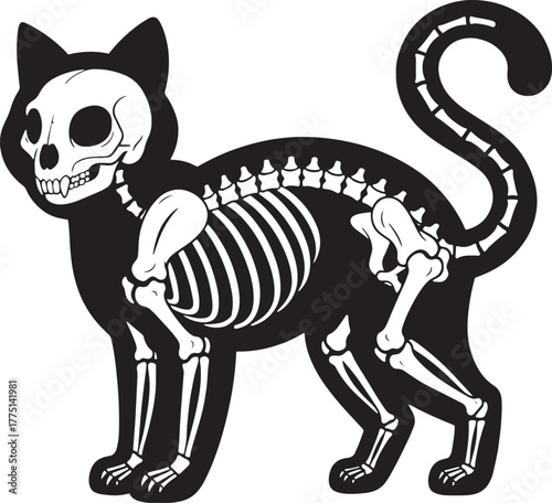 Black cat skeleton, spooky and anatomical vector illustration