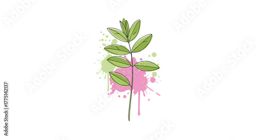 Hand-drawn green plant stem with leaves highlighted by vibrant green and pink watercolor paint splashes on a white background.