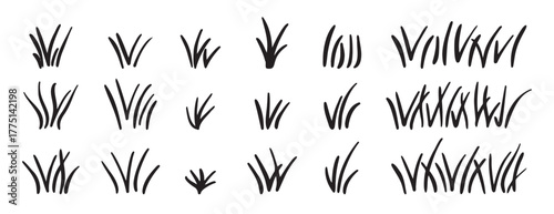 Doodle bunch of grass. Hand drawn lawn bush of grass icon hand drawn set. Outline grass line drawing clipart symbol collection
