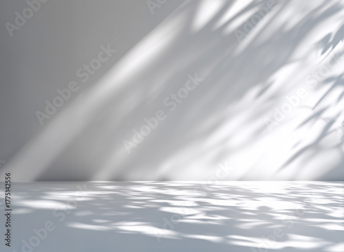 白い壁と床の空間と木漏れ日　光と影