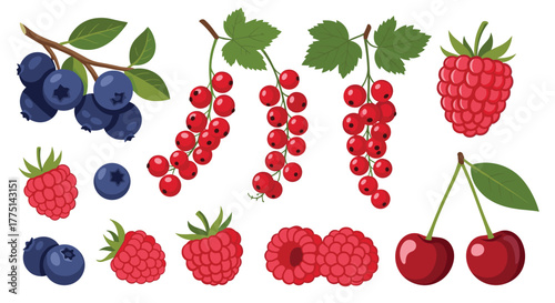 A vibrant collection of fresh and ripe blueberries, redcurrants, raspberries, and cherries, perfect for healthy eating and summer recipes.