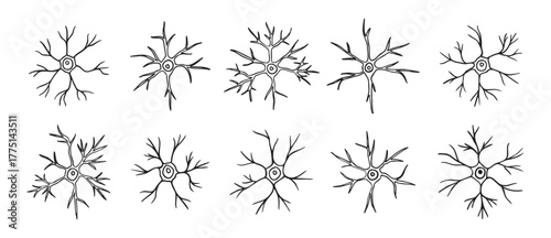 neurons or neuron cells doodle hand drawn icon set. Outline pyramidal neurons drawing line clipart symbol collection