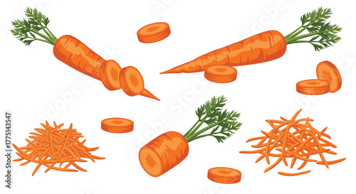 Collection of whole, sliced, and shredded carrots with green leafy tops on a white background.