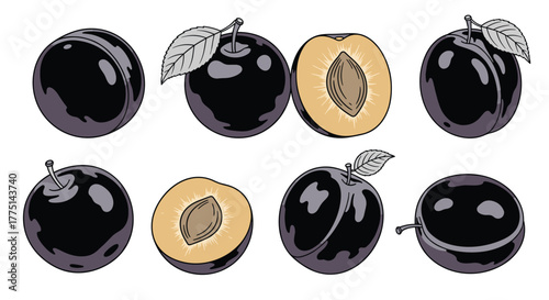 Illustrations of whole and halved plums showcase the fruit's deep purple skin and golden interior, emphasizing freshness and natural beauty.