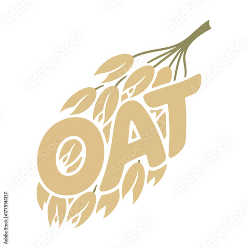Illustration of oat plant with oat text colouring page