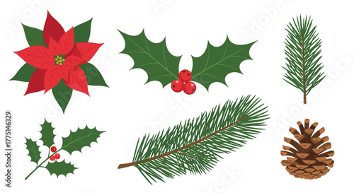 Festive Christmas and winter botanical elements featuring poinsettia, holly, evergreen branches, and a pine cone, ideal for holiday designs.