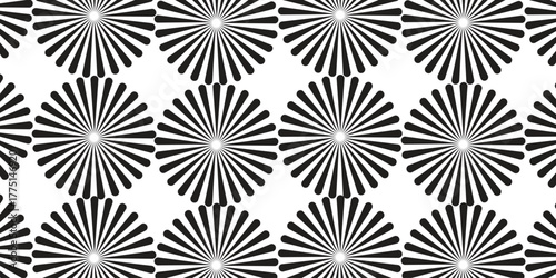 Dynamic Monochrome Burst Seamless Design