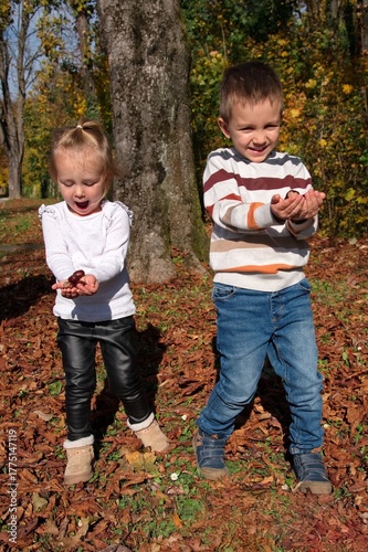 Brother and sister picking chestnuts in the forest