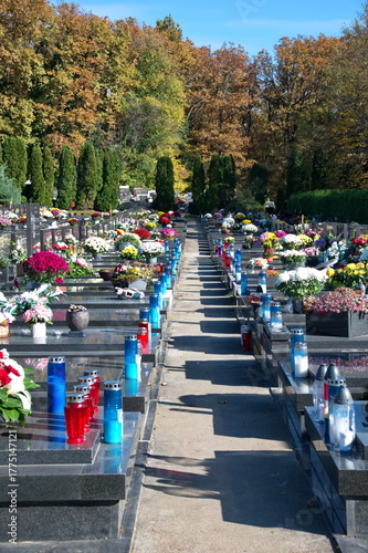 Cemetery decorated with flowers and candles for All Saints' Day