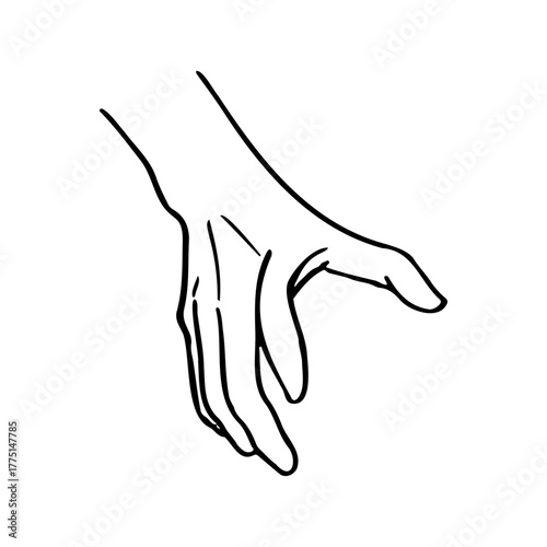 Outstretched human hand Back of the hand from above - hand drawn line art doodle