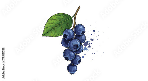 A vibrant illustration of a cluster of fresh blueberries on a branch with a green leaf, accompanied by artistic purple watercolor splatters.