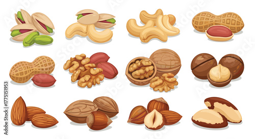 An appealing and healthy array of diverse nuts, featuring pistachios, cashews, peanuts, walnuts, almonds, hazelnuts, and Brazil nuts on a white background.