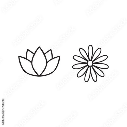 Minimalist lotus and daisy flower line art